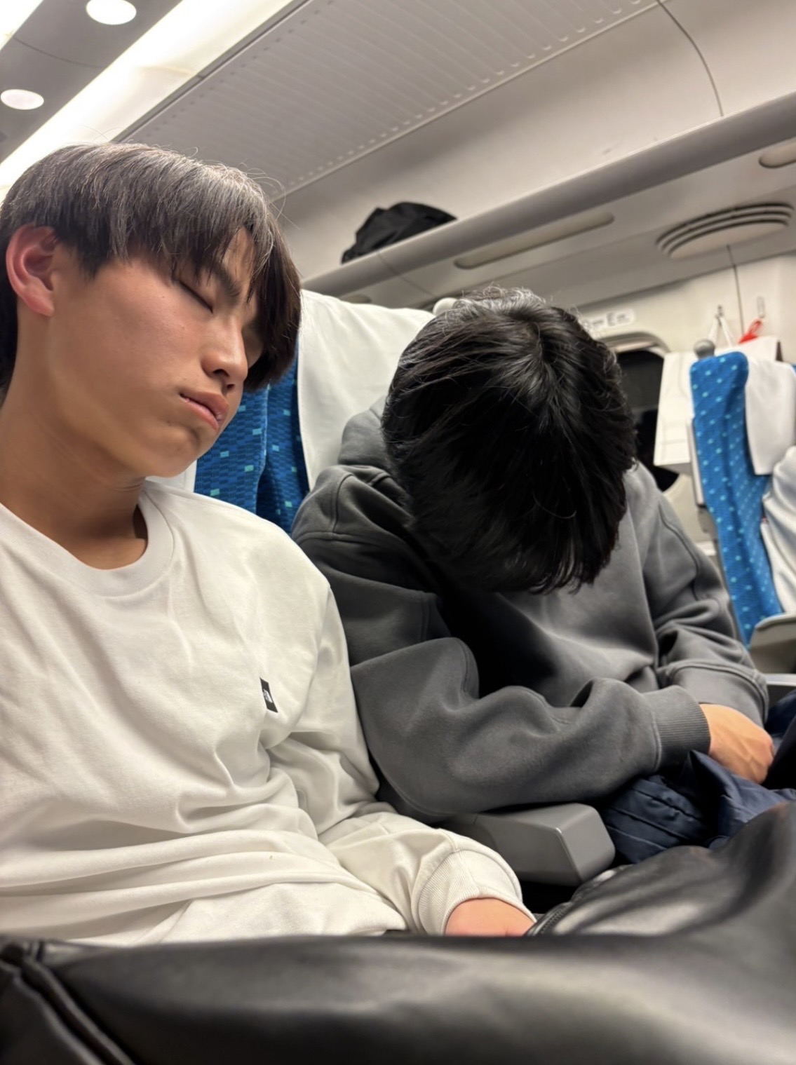鈴木遥登