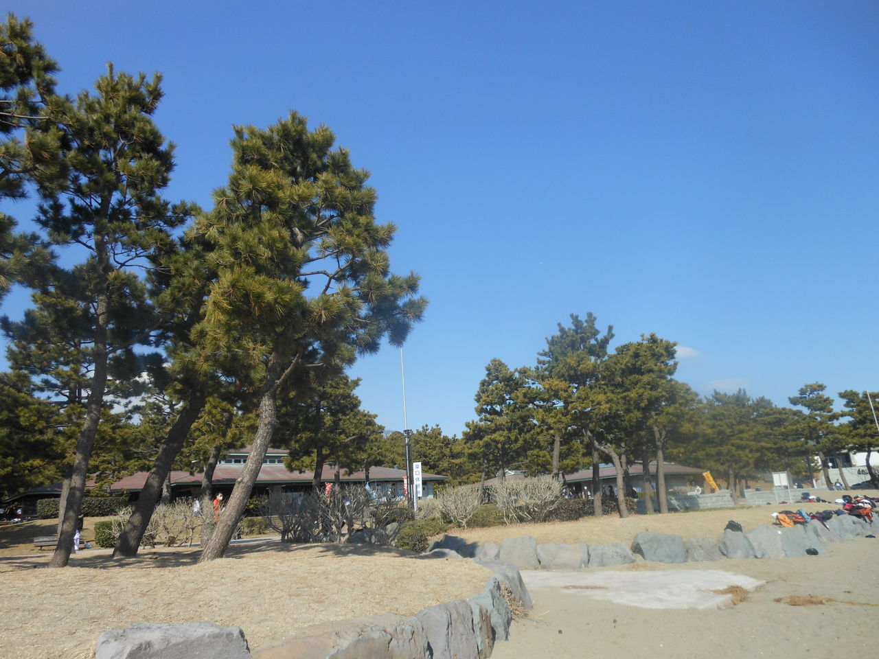 DSCN0687