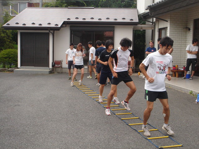 ラダー